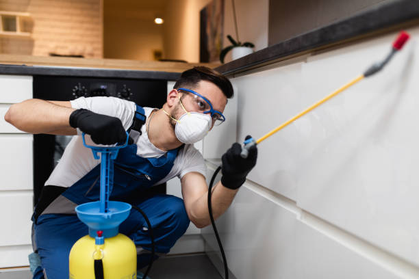 Best Pest Control Near Me  in Silver Spring, MD