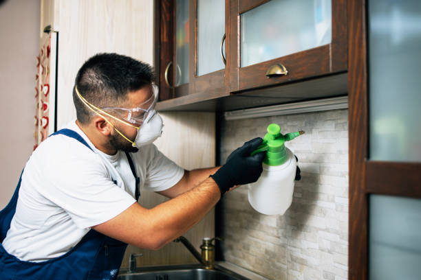 Best Termite Control Services  in Silver Spring, MD