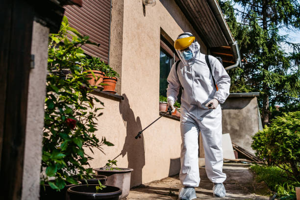 Wasp Removal Services in Silver Spring, MD