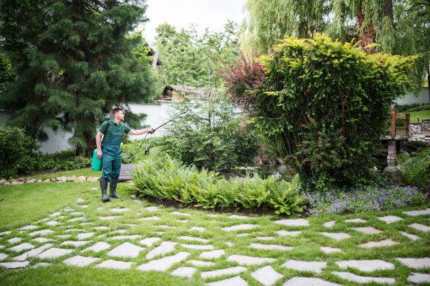 Professional Pest Control in Silver Spring, MD