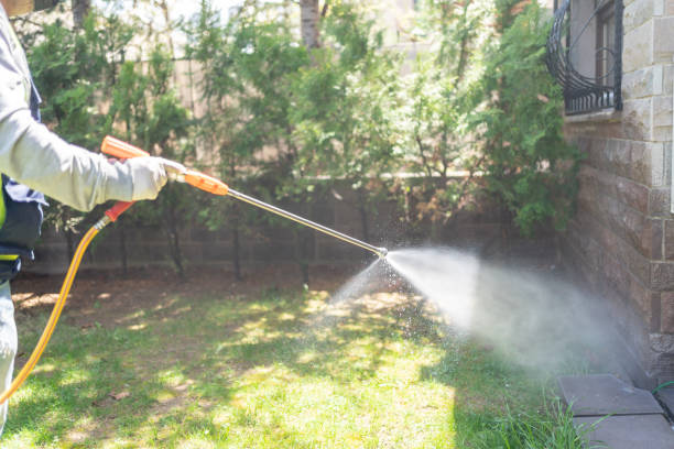 Best Emergency Pest Control  in Silver Spring, MD