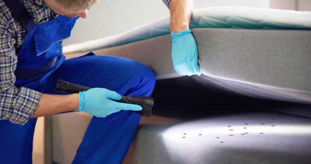 Best Affordable Pest Control Services  in Silver Spring, MD