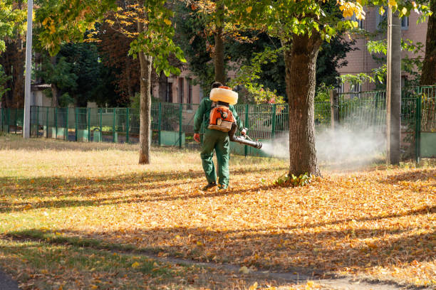 Best Bed Bug Extermination  in Silver Spring, MD