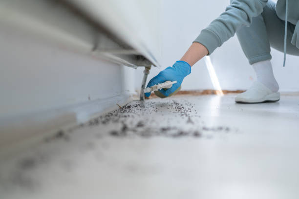 Best Wildlife Control Services  in Silver Spring, MD