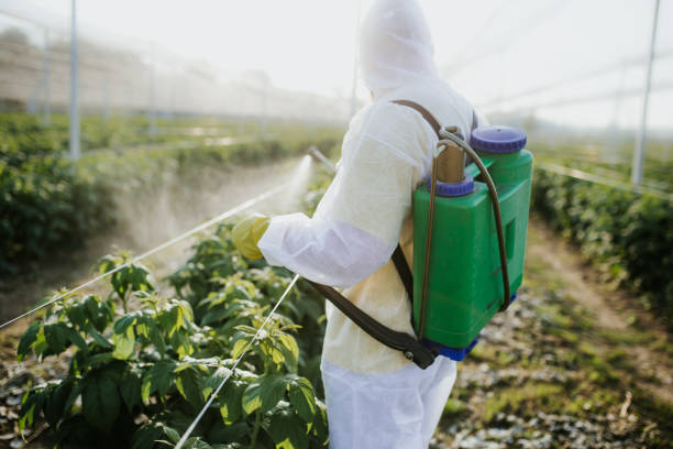 Best Wasp Removal Services  in Silver Spring, MD